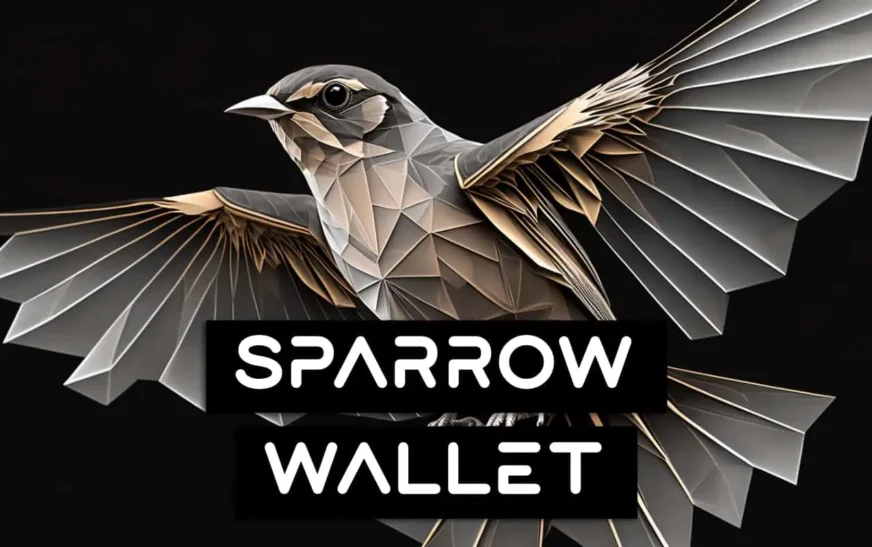 Top 7 Tips For A Seamless Transfer From Samourai Wallet To Sparrow Wallet