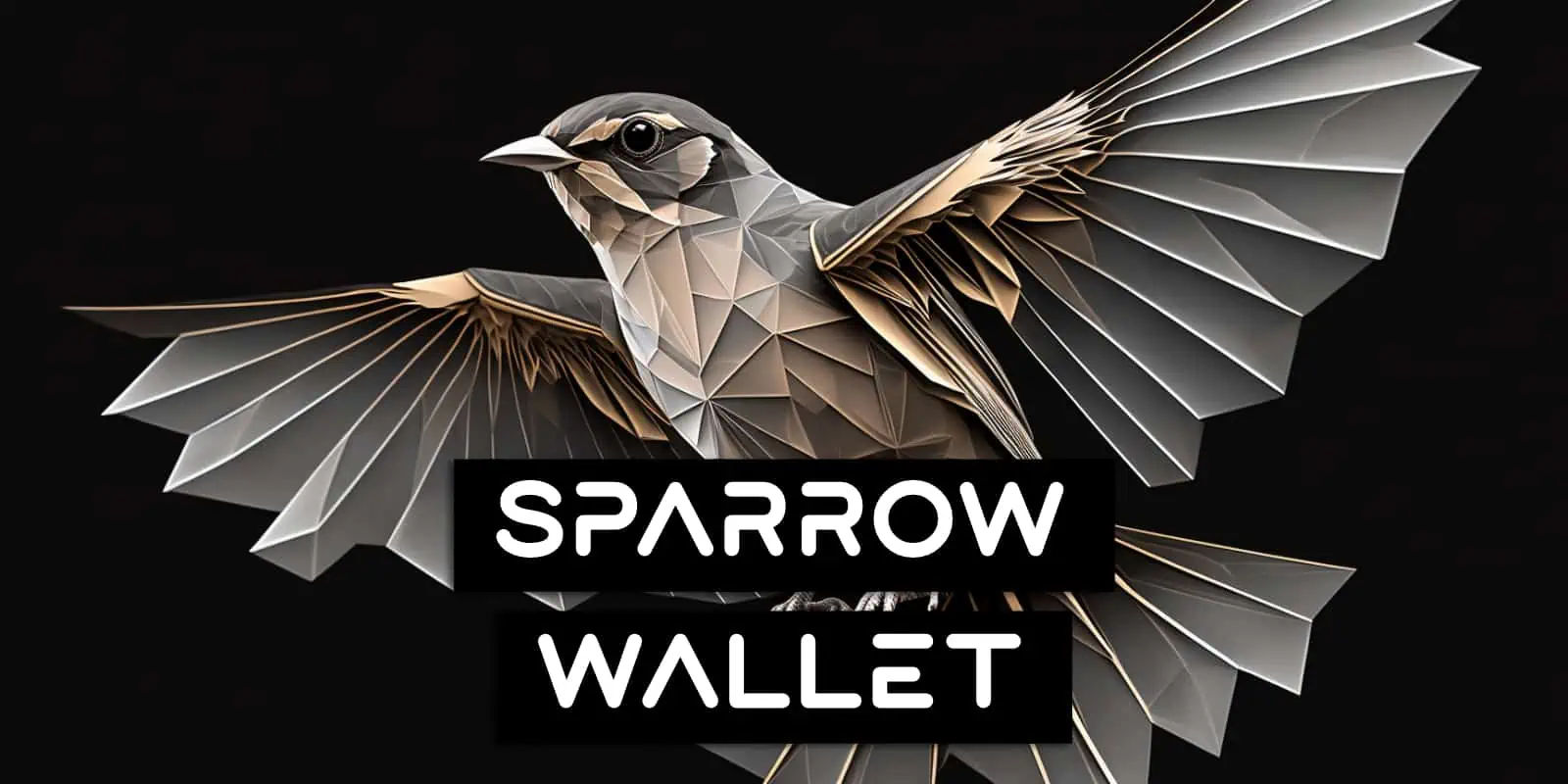 Top 7 Tips For A Seamless Transfer From Samourai Wallet To Sparrow Wallet